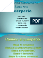 Presentacion de Puerperio