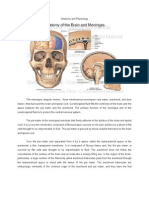 Anatomy and Physiology