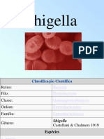 Shigella