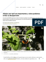 Abejas, Texto Descriptivo