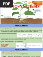 Photosynthesis