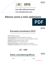 Encuesta Economica 2023