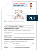 Ficha Ciencia Sistema Repiratorio