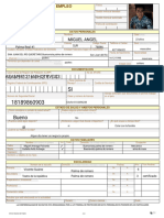 Sne Solicitud de Empleo Plantilla PD