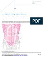 Capítulo 12 - Hernias de La Pared Abdominal