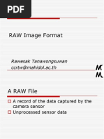 Digital RAW Format