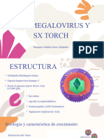 4 - Citomegalovirus y SX TORCH