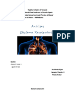 Analisis PM Respiratorio