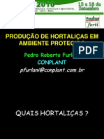 Cultivo Protegido Hortaliçaspdf