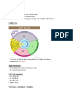 Cell Division