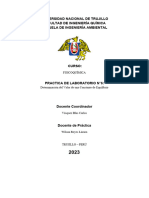 Informe 6 Fisicoquimica