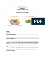 NATURALES 6 TO SERES VIVOS y MICRO-.