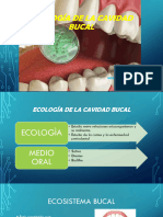 Ecología de La Cavidad Bucal