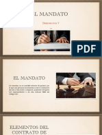 El Mandato PDF