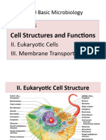 3B Eukaryotes & Membrane