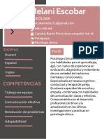 Curriculum Vitae CV Trabajo