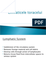 Limfaticele Toracelui