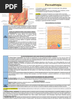 Dermatología - Anato y Lesion Elemental