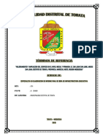 1º TDR Elaboracion de Informe Final