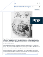 Principles of Intraventricular Surgery - The Neurosurgical Atlas