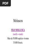 6 Moluscos