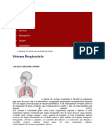 Sistema Respiratório: Apresentação Atlas Normas Bibliografia Equipe Calendário