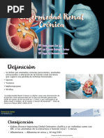 Enfermedad Renal Crónica