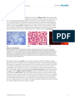 14 Mycobacterium