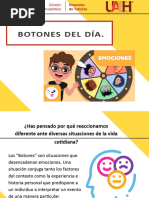 BOTONES DEL DÍA or