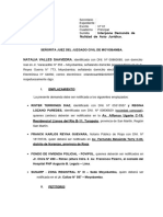 DEMANDA de NULIDAD de ACTO JURIDICO Falta de Manifestación de Voluntad.