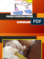 Periodo de Alumbramiento 2020