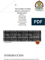 Sistema Circularorio