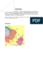 Endoplasmic Reticulum