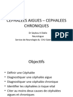 Cephalées - Maigraines