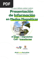 Presentacion de Informacion en Medios Magneticos