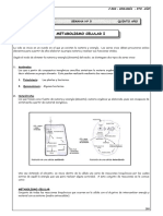 5to. Año - BIOLOGÍA - Guía 5 - Metabolismo Celular I