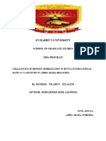 Demeke Tilahun PDF