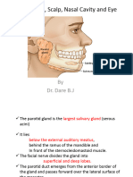 H.N P.gland, Scalp, Fossa, Tongue 3