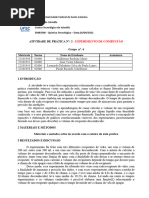 Relatório Laboratório Experimento de Combustão - Química Tecnológica