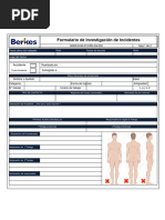 Copia de 00000 8-00-012 RD GS 002 3 Investigación de Incidente