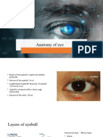 Anatomy of Eye