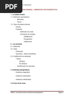 Tema 1. La Materia Mineral. - Ambientes Petrogenéticos. La Materia Mineral. - Ambientes Petrogenéticos-3