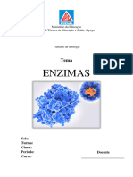 Trabalho Escolar Sobre Enzimas