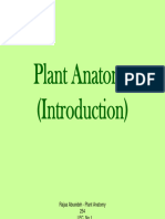 Plant Anatomy - PPT - Introduction