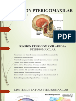 Region Pterigomaxilar