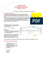 Camilla Pilati, Lab Report, Stading Waves