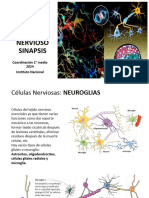 Neurona Impulso Sinapsis Clase 4