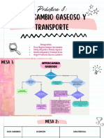 Práctica 8 Intercambio Gaseoso y Transporte