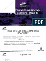 Organizadores Gráficos