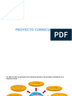 Proyecto Curricular